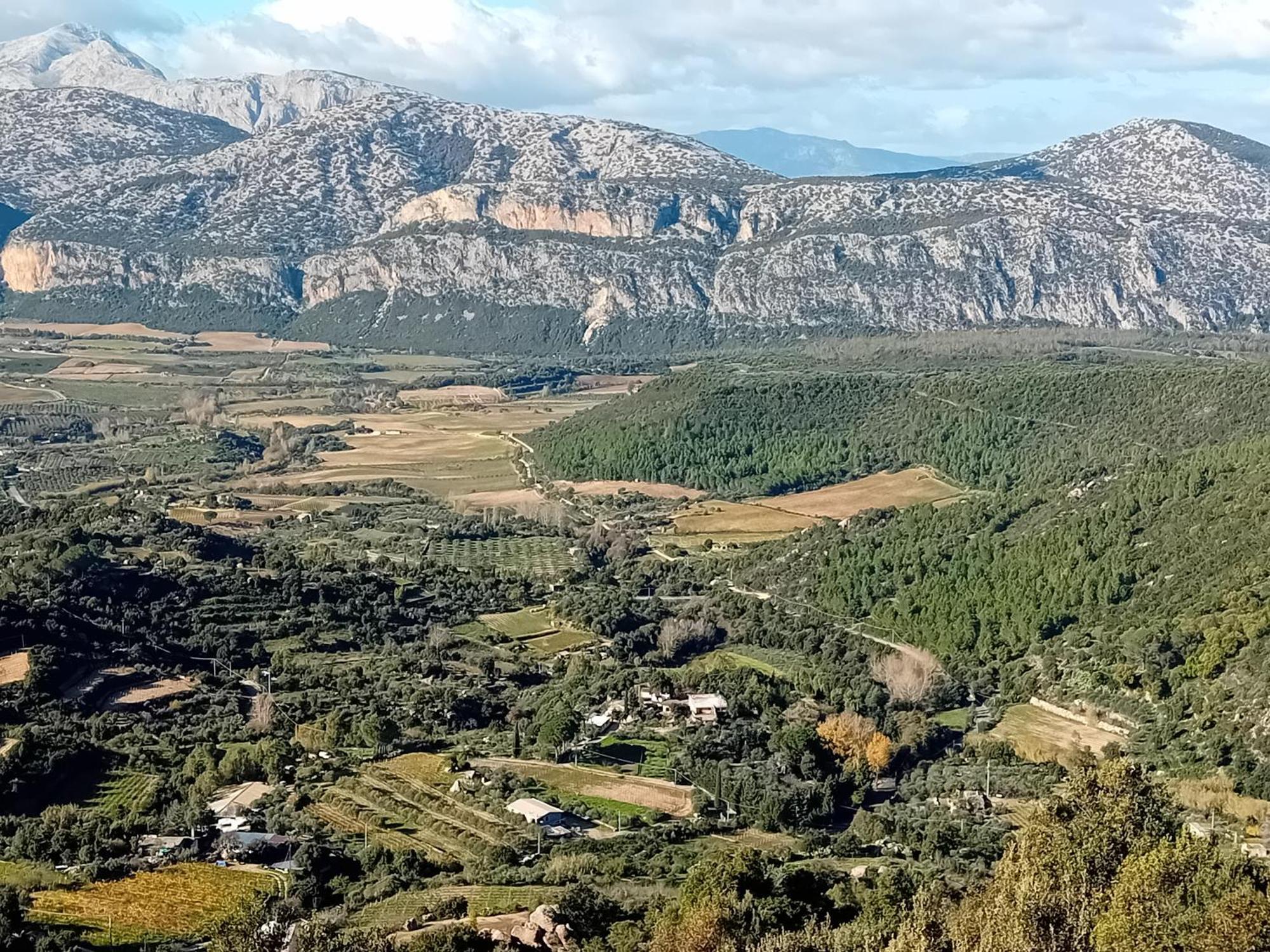 B&B Su Acu Dorgali Eksteriør billede